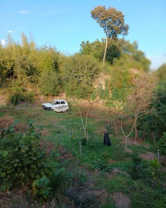 Terreno a Vitorchiano loc. Poggio Pasquale