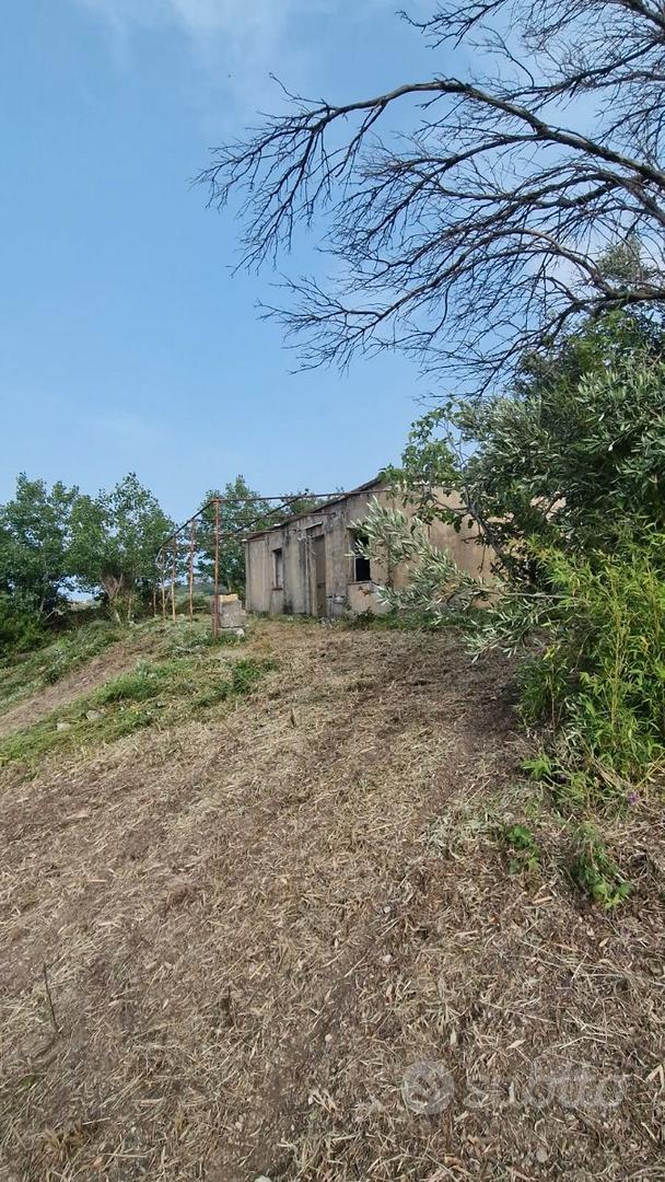 Terreno agricolo con immobile - Vista 4