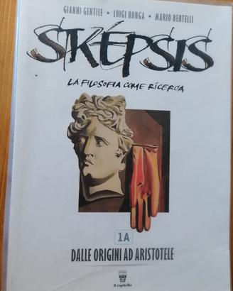 Skepsis 1A e 1B
