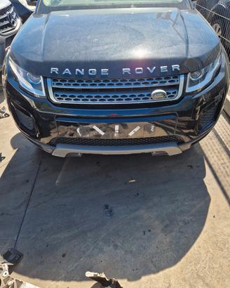 Range Rover Land Rover Evoque 2.0 204 dtd anno 201