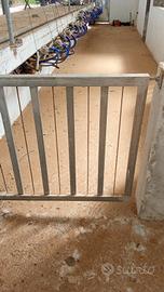 stalla attrezzata per pecore