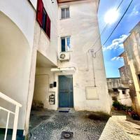 5 LOCALI A POLLENA TROCCHIA