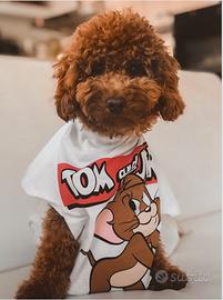 Niki - Barboncina Toy con consegna e rate