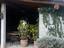Immagine 14