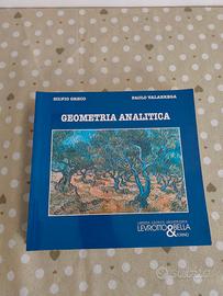 Libro Geometria Analitica