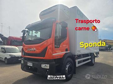 EUROCARGO 180E32 (2019) CELLA 6,30 FRC 2028 KM 290
