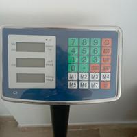 bilancia elettronica 