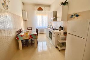 Casa con giardino e stabilimento a Silvi Marina