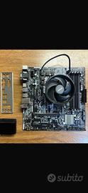 Bundle SCHEDA MADRE Asus A320M-A + CPU Ryzen5 1600
