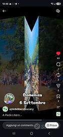 bici corsa