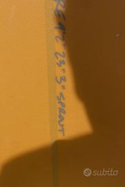 Longboard CJ Nelson Sprout 9.2