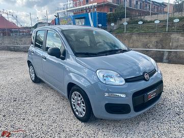 FIAT PANDA 1.0 FIREFLY S&S HYBRID CITY LIFE 70 CV