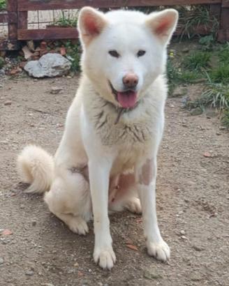 Bianca 2 anni