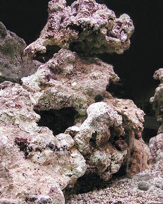 Roccia viva