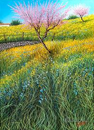 Giovanni Daurea olio su tela  cm 50x70