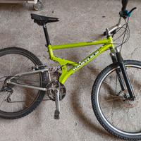 Mountain bike da ragazzo/adulto