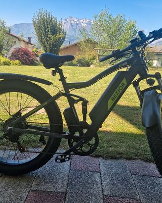 bicicletta elettrica 