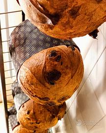 Attività Bar/Pasticceria