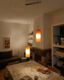 Lampadario a Sospensione Moderno a 2 Luci