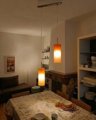 Lampadario a Sospensione Moderno a 2 Luci