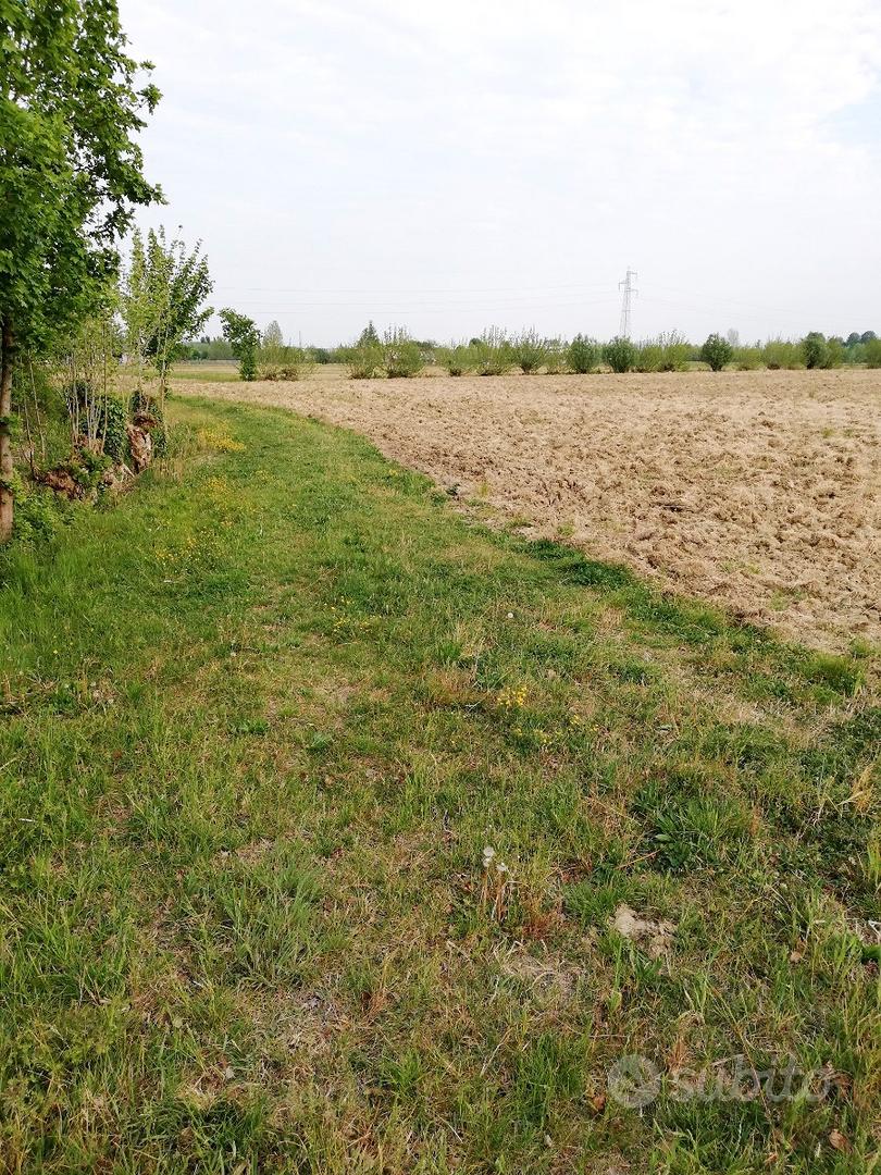 Terreno agricolo - Vista 4