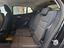 Immagine 16