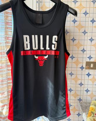 Canotta Adidas Chicago Bulls
