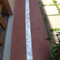 Sacca Albero Windsurf