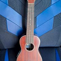 Ukulele amplificato Stagg US80-SE