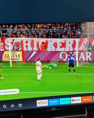Tv Sony Bravia 55 pollici