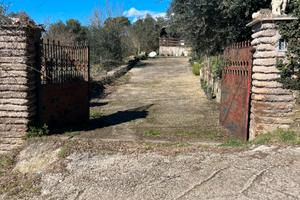 Grazioso chalet ai piedi del monte Soratte