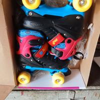 articolo sportivo:pattini