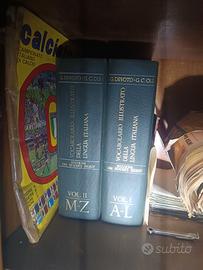 Vocabolario illustrativo della lingua italiana