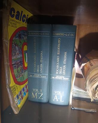 Vocabolario illustrativo della lingua italiana