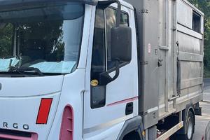 Iveco trasporto animali