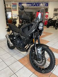 BRIXTON CROSSFIRE STORR Pronta Consegna
