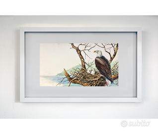 Dipinti a mano su cartoncino degli anni 70