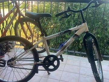 Bicicletta