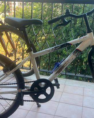 Bicicletta