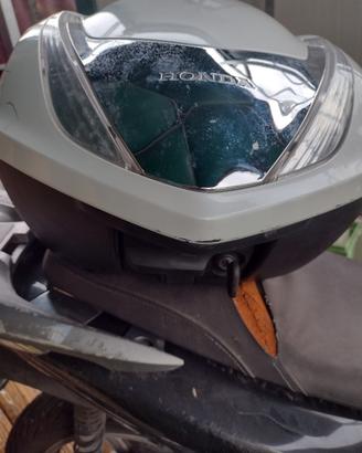 bauletto sh 300