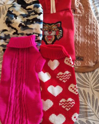 cappottini cane 🐕 