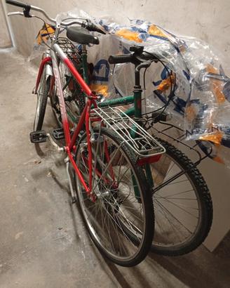 bicicletta da uomo e donna