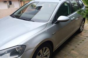 Volkswagen Golf Business 1.4 TGI DSG 5p. Highline 