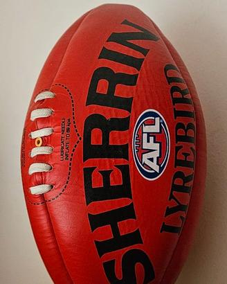 Pallone Football Sherrin