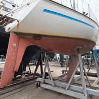 barca a vela natante 7m