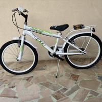 Mtb Velomarche nuova