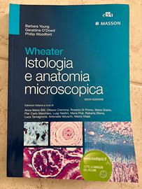 Libro Wheater - Istologia e anatomia microscopica