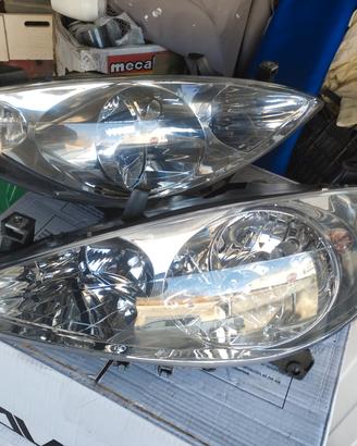 fari Anteriori e posteriori Peugeot 307