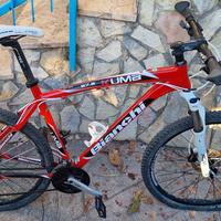 Bianchi Kuma 27.2