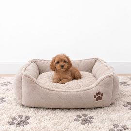 Cavapoo Red disponibili subito